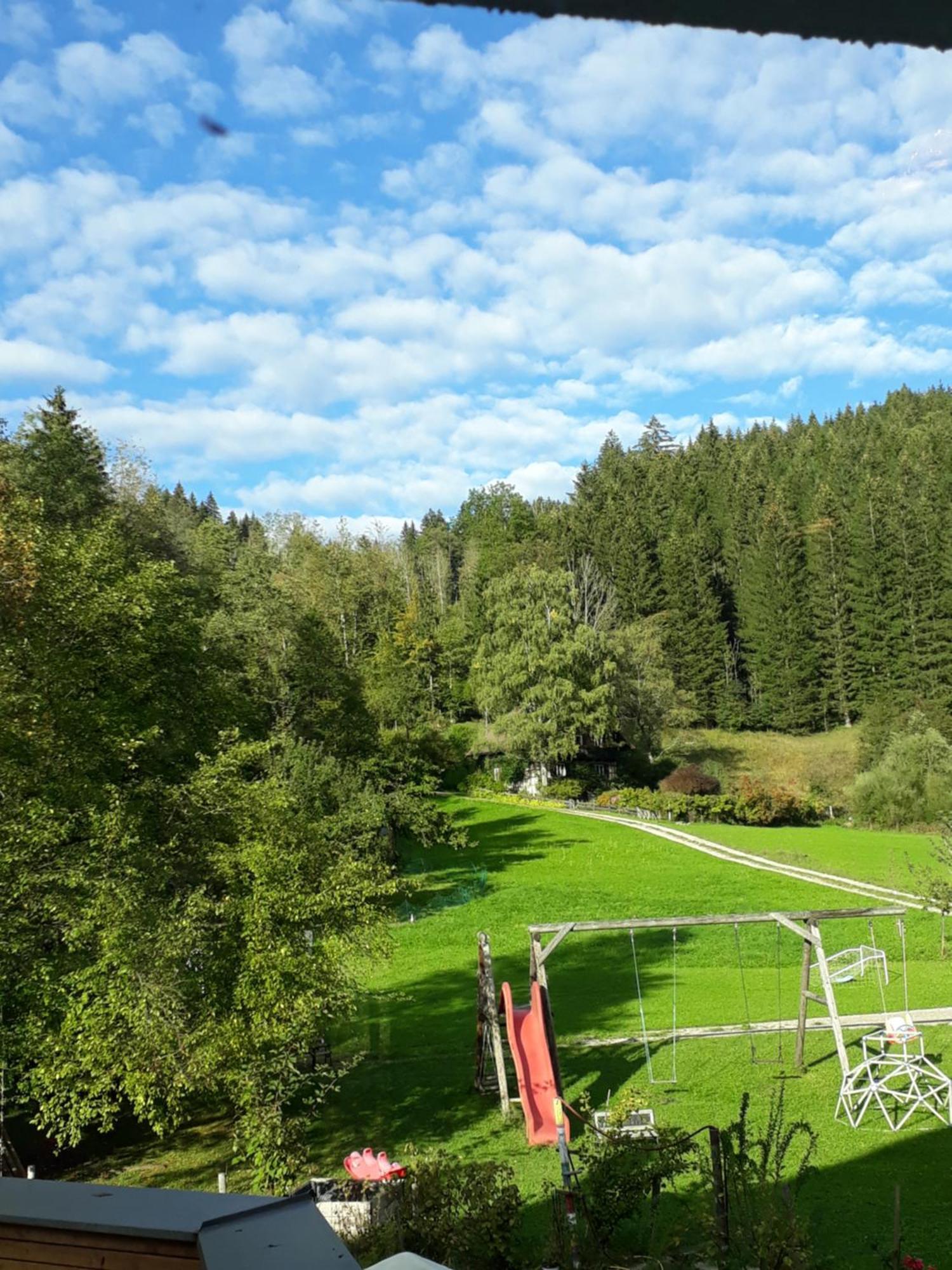 Hotel Lunzferien Lunz am See Zewnętrze zdjęcie